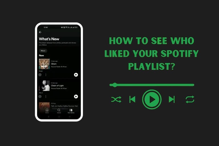 See Who Liked Your Spotify Playlist