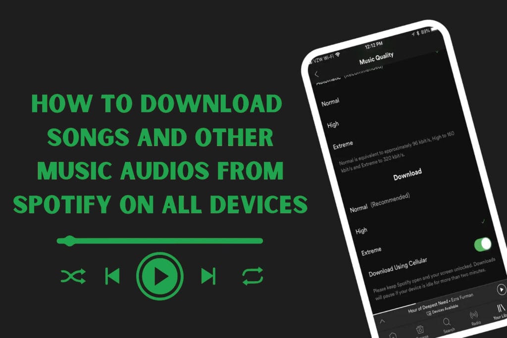 how to download songs from Spotify